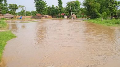 माईखोलाको बाढी बस्तीमा पस्दा झापा सुगाबथानका २२ घर डुबानमा